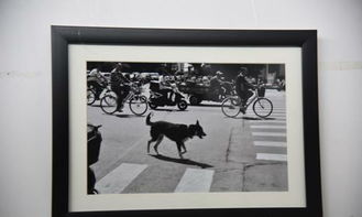 將畢業展辦成藝博會 山東工藝美術學院2015設計藝術博覽會工藝美術設計展的革新實踐